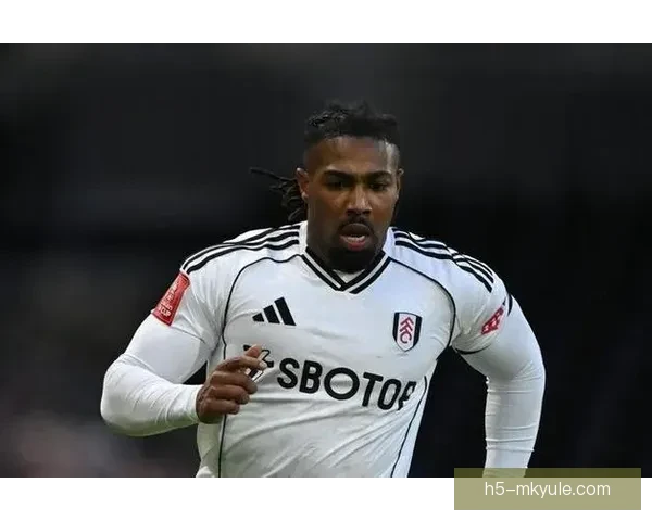 西汉姆签阿达玛普劳斯赴伯恩利